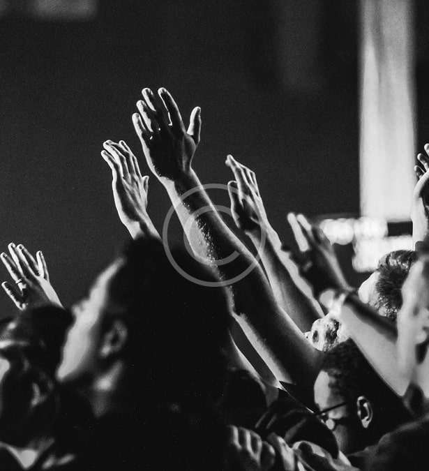 custom-img-011-copyright