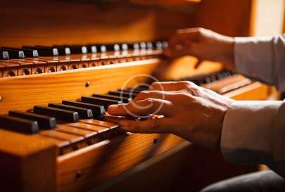 custom-img-025-copyright