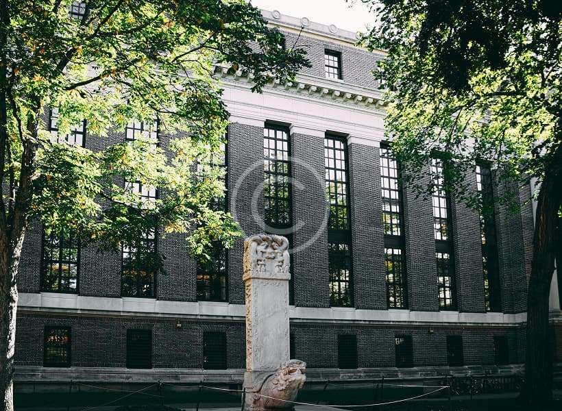 custom-img-041-copyright