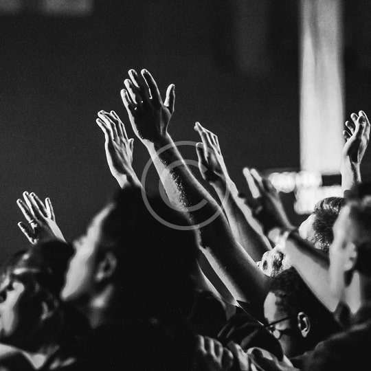 custom-img-048-copyright