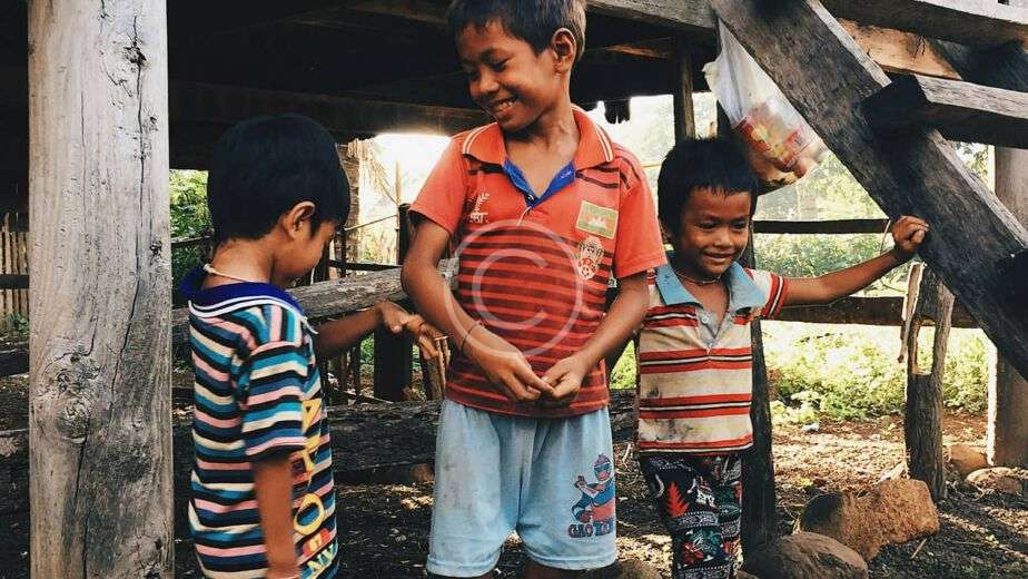 custom-img-138-copyright